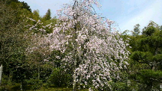 2012041521110001.jpg