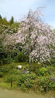 2012041521120000.jpg