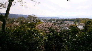 2012041521120001.jpg