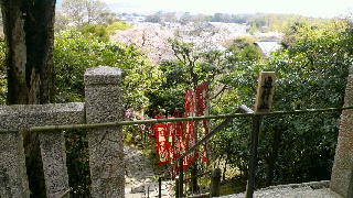 2012041521130000.jpg