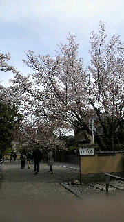 2012041618340001.jpg