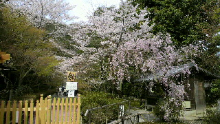 2012041618350001.jpg