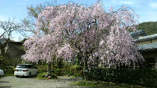 2012041618350002.jpg