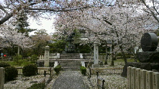 2012041705530001.jpg