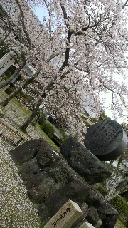 2012041705530002.jpg