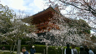 2012041717490000.jpg