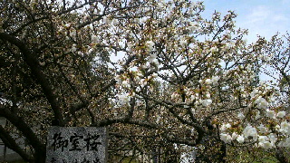 2012041717490001.jpg