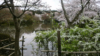 2012041805300000.jpg