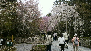 2012041805310000.jpg