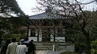 2012041805310002.jpg