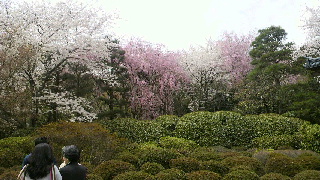 2012041805310003.jpg