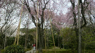 2012041805320000.jpg