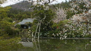 2012041805320001.jpg