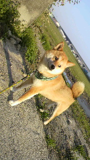 2012041806410002.jpg