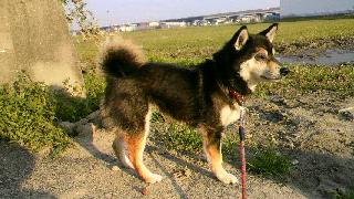 2012041806430000.jpg