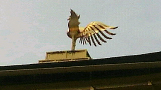 2012041817590002.jpg