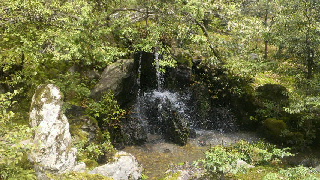 2012041817590003.jpg