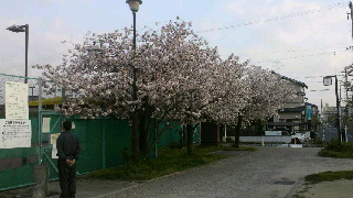 2012041911400001.jpg