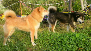 2012041911410000.jpg