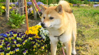 2012041911410001.jpg