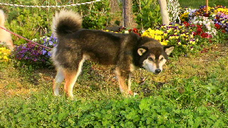 2012041911410002.jpg
