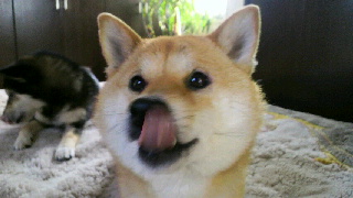 2012041912330000.jpg