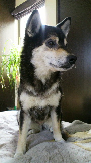 2012041912330001.jpg