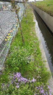 2012042116500000.jpg