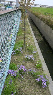 2012042116510000.jpg