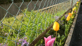 2012042117000000.jpg