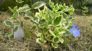 2012042619430000.jpg