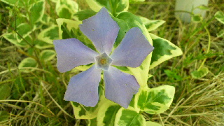 2012042619430001.jpg