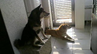 2012042620580000.jpg