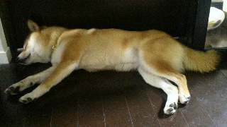 2012050210240000.jpg