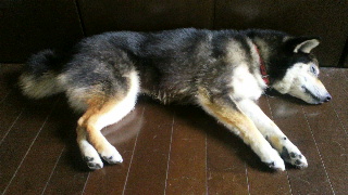 2012050210240001.jpg