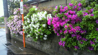 2012050219020001.jpg