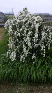 2012050219130000.jpg