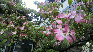 2012050219170000.jpg