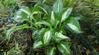 2012050221400000.jpg