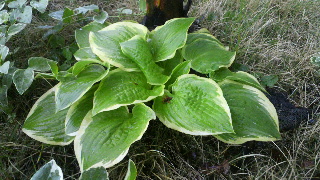2012050221410000.jpg