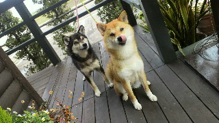 2012050310050000.jpg