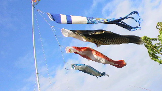 2012050317480000.jpg