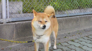 2012050317490000.jpg