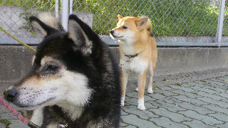 2012050317490001.jpg