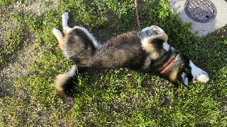 2012050317490003.jpg