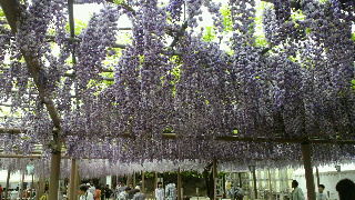 2012050413290000.jpg