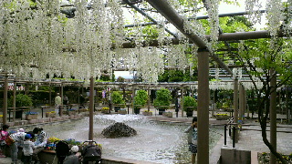 2012050413310001.jpg