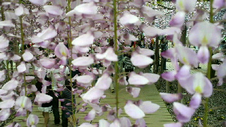 2012050413310002.jpg
