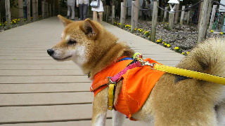 2012050514540000.jpg