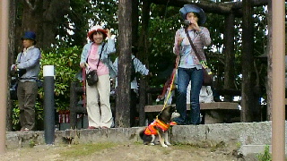 2012050514540001.jpg